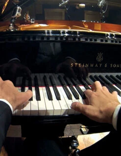 GoPro CHESTY KIT MOUNT HARNESS 11 GoPro CHESTY KIT MOUNT HARNESS -Ocean Motion Shop chesty kit pettorina 1