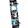 POWELL PERALTA RIPPER ONE OF BIRCH 7.75" SKATE COMPLETE