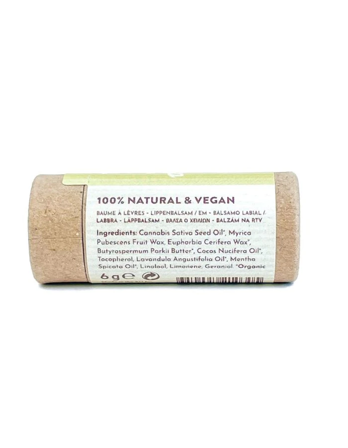SUNTRIBE NATURAL HEMP LIP BALM MOISTURE 2 SUNTRIBE NATURAL HEMP LIP BALM MOISTURE - Image 2