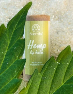 SUNTRIBE NATURAL HEMP LIP BALM MOISTURE 8 SUNTRIBE NATURAL HEMP LIP BALM MOISTURE -Ocean Motion Shop suntribe balsamo per labbra biologico alla canapa 3