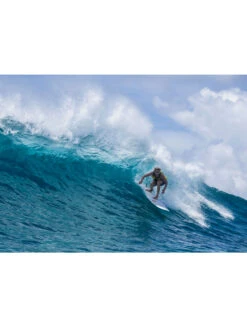 TORQ TET 8'0" LONG WHITE + PINLINE -Ocean Motion Shop torq tet 8 0 longboard white pinline 6